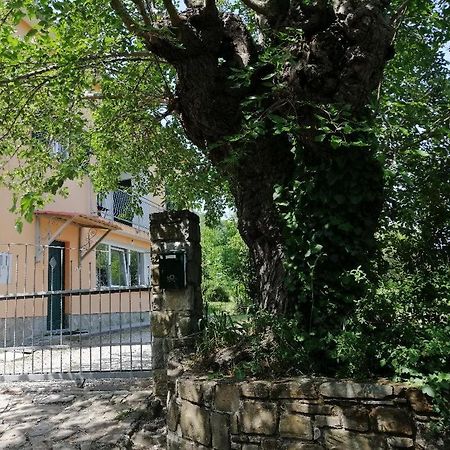 Murva Koper Exterior photo