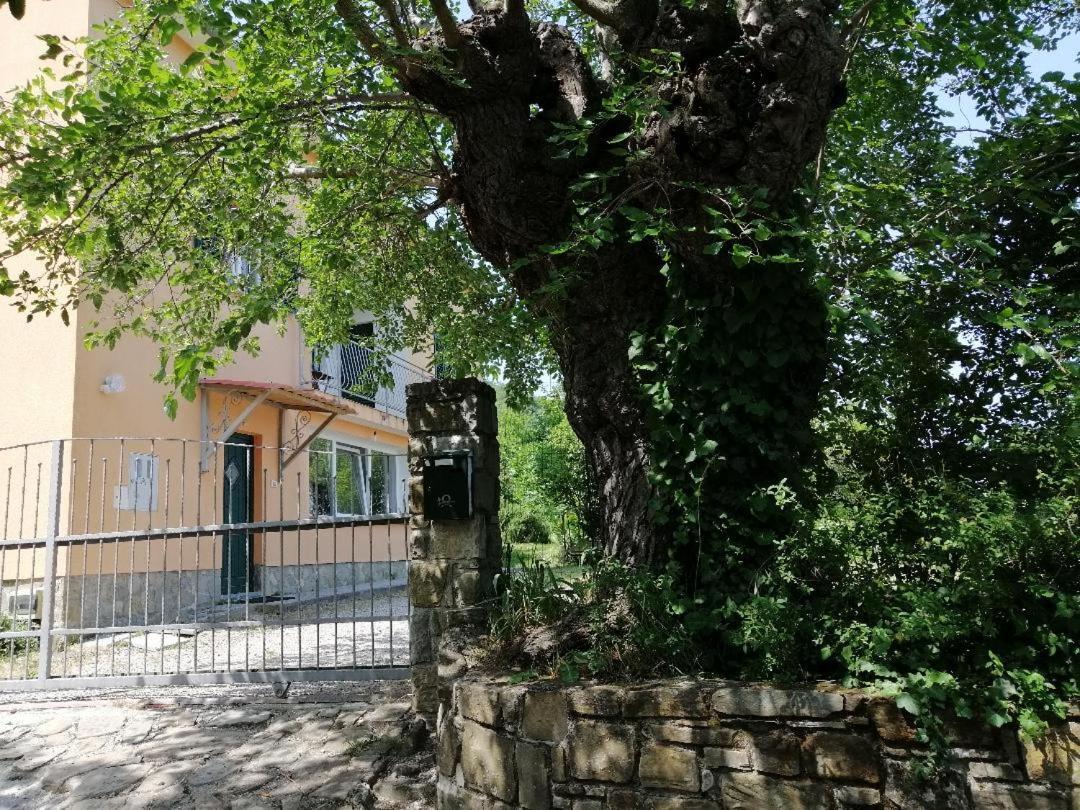 Murva Koper Exterior photo